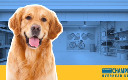 Creating a Dog-Safe Space in Your Garage